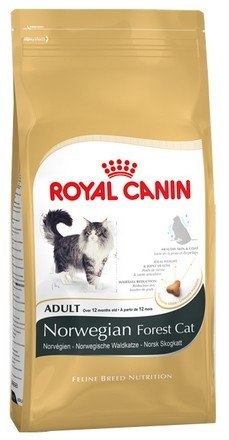 Royal Canin Norvegian Forest Cat Adult karma sucha dla kotów dorosłych rasy norweski leśny 2kg