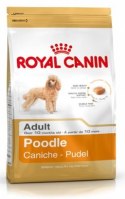 Royal Canin Poodle Adult karma sucha dla psów dorosłych rasy pudel miniaturowy 1,5kg