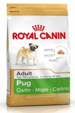 Royal Canin Pug Adult karma sucha dla psów dorosłych rasy mops 1,5kg
