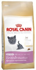 Royal Canin British Shorthair Kitten karma sucha dla kociąt, do 12 miesiąca, rasy brytyjski krótkowłosy 10kg