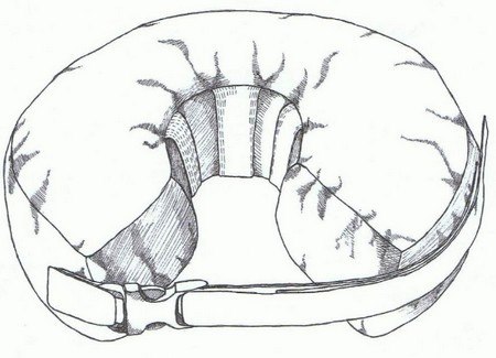 Grande Finale Kołnierz pooperacyjny rozmiar 6 [WET/K/6]