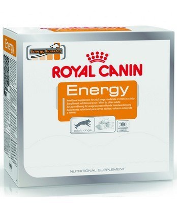 Royal Canin Nutritional Supplement Energy zdrowy przysmak dla psów dorosłych, aktywnych 50g Royal Canin Nutritional Supplement Energy zdrowy przysmak dla psów dorosłych, aktywnych 50g