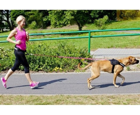 Dingo Smycz do biegania - taśma z amortyzatorem 170cm z rączką zielona Dingo Smycz do biegania - taśma z amortyzatorem 170cm z rączką zielona