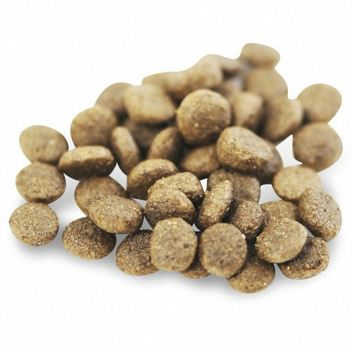 Fish4Dogs Superior Salmon Complete Adult Small 6kg