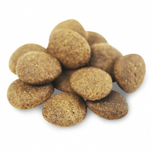Fish4Dogs Superior Senior Salmon Large 12kg Fish4Dogs Superior Senior Salmon Large 12kg