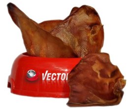 Vector-Food Ucho wieprzowe duże 10szt