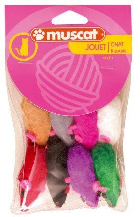 Zolux 8 Myszek średnich [480413]