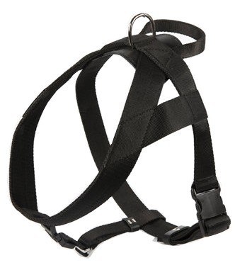 Dingo Szelki taśma z uchwytem 4cm czarne Dingo Szelki taśma z uchwytem 4cm czarne