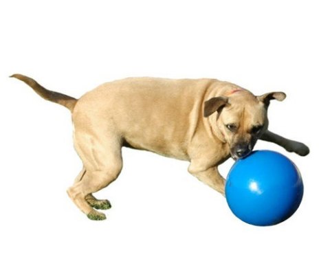Boomer Ball S - 4" / 11cm niebieska Boomer Ball S - 4" / 11cm niebieska