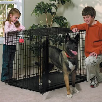 MidWest Life Stages Klatka dla psa 122x76x84cm [1648DD] ^^