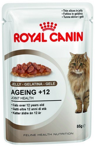 Royal Canin Ageing +12 karma mokra w galaretce dla kotów dojrzałych saszetka 85g Royal Canin Ageing +12 karma mokra w galaretce dla kotów dojrzałych saszetka 85g