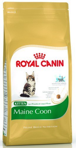 Royal Canin Maine Coon Kitten karma sucha dla kociąt, do 15 miesiąca, rasy maine coon 400g Royal Canin Maine Coon Kitten karma sucha dla kociąt, do 15 miesiąca, rasy maine coon 400g