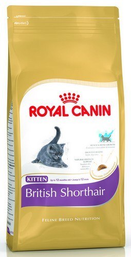 Royal Canin British Shorthair Kitten karma sucha dla kociąt, do 12 miesiąca, rasy brytyjski krótkowłosy 2kg