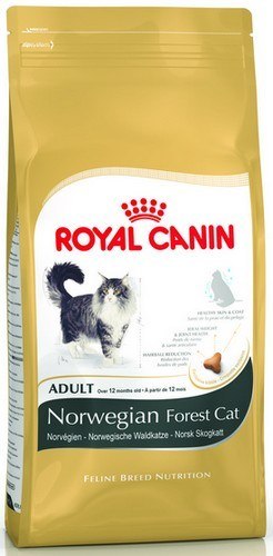 Royal Canin Norvegian Forest Cat Adult karma sucha dla kotów dorosłych rasy norweski leśny 400g
