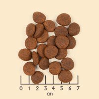 Wolfsblut Dog Black Marsh - bawół i dynia 500g Wolfsblut Dog Black Marsh - bawół i dynia 500g