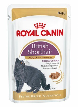 Royal Canin British Shorthair karma mokra w sosie dla kotów dorosłych rasy brytyjski krótkowłosy saszetka 85g Royal Canin British Shorthair karma mokra w sosie dla kotów dorosłych rasy brytyjski krótkowłosy saszetka 85g