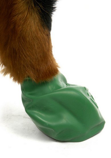Pawz Obuwie gumowe XL 12szt Pawz Obuwie gumowe XL 12szt