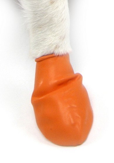 Pawz Obuwie gumowe XS 12szt Pawz Obuwie gumowe XS 12szt
