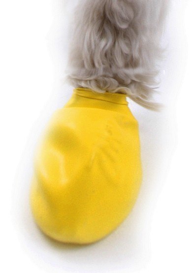Pawz Obuwie gumowe XXS 12szt Pawz Obuwie gumowe XXS 12szt