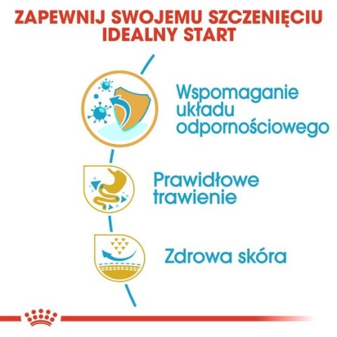 Royal Canin French Bulldog Puppy karma sucha dla szczeniąt do 12 miesiąca, rasy buldog francuski 3kg Royal Canin French Bulldog Puppy karma sucha dla szczeniąt do 12 miesiąca, rasy buldog francuski 3kg
