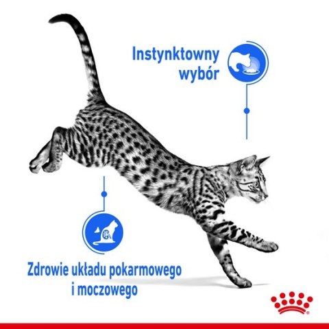 Royal Canin Indoor Sterilised Loaf karma mokra dla kotów dorosłych sterylizowanych, przebywających w domu saszetka 85g Royal Canin Indoor Sterilised Loaf karma mokra dla kotów dorosłych sterylizowanych, przebywających w domu saszetka 85g