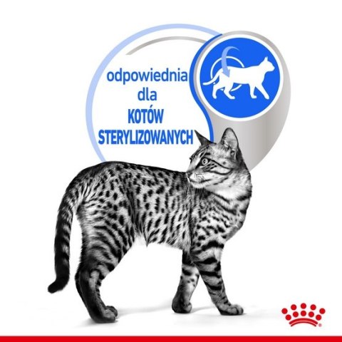 Royal Canin Indoor Sterilised Loaf karma mokra dla kotów dorosłych sterylizowanych, przebywających w domu saszetka 85g Royal Canin Indoor Sterilised Loaf karma mokra dla kotów dorosłych sterylizowanych, przebywających w domu saszetka 85g