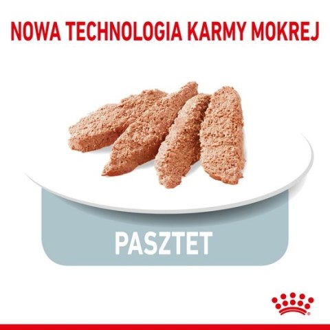 Royal Canin Indoor Sterilised Loaf karma mokra dla kotów dorosłych sterylizowanych, przebywających w domu saszetka 85g Royal Canin Indoor Sterilised Loaf karma mokra dla kotów dorosłych sterylizowanych, przebywających w domu saszetka 85g