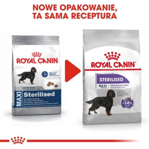Royal Canin Maxi Sterilised karma sucha dla psów dorosłych, ras dużych, sterylizowanych 9kg Royal Canin Maxi Sterilised karma sucha dla psów dorosłych, ras dużych, sterylizowanych 9kg