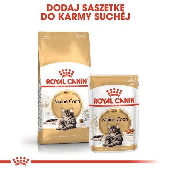 Royal Canin Maine Coon Adult karma sucha dla kotów dorosłych rasy maine coon 10kg