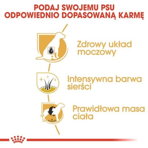 Royal Canin Miniature Schnauzer Adult karma sucha dla psów dorosłych rasy schnauzer miniaturowy 7,5kg Royal Canin Miniature Schnauzer Adult karma sucha dla psów dorosłych rasy schnauzer miniaturowy 7,5kg