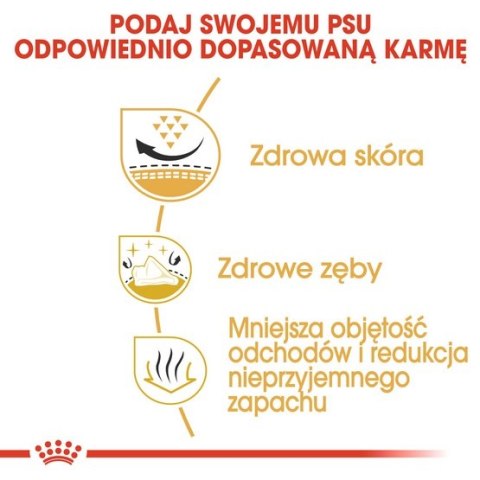 Royal Canin Shih Tzu Adult karma sucha dla psów dorosłych rasy shih tzu 0,5kg Royal Canin Shih Tzu Adult karma sucha dla psów dorosłych rasy shih tzu 0,5kg