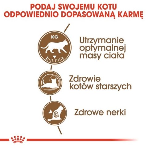 Royal Canin Ageing +12 Sterilised karma sucha dla kotów dojrzałych, sterylizowanych 2kg Royal Canin Ageing +12 Sterilised karma sucha dla kotów dojrzałych, sterylizowanych 2kg