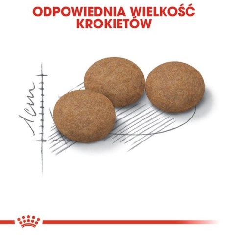 Royal Canin Ageing +12 Sterilised karma sucha dla kotów dojrzałych, sterylizowanych 4kg Royal Canin Ageing +12 Sterilised karma sucha dla kotów dojrzałych, sterylizowanych 4kg