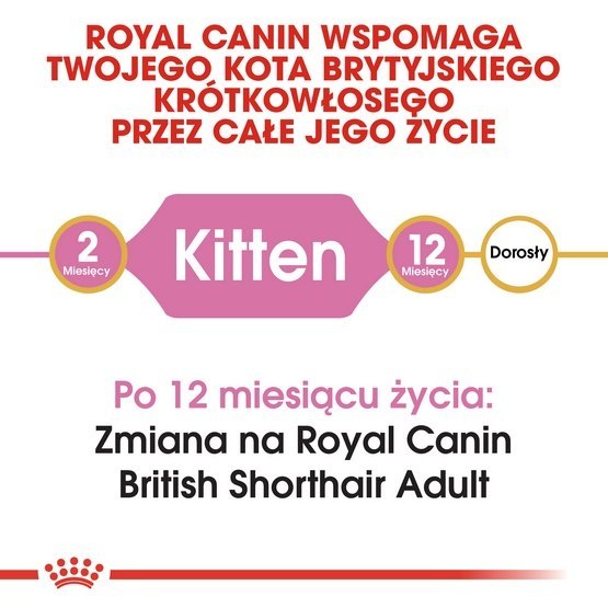 Royal Canin British Shorthair Kitten karma sucha dla kociąt, do 12 miesiąca, rasy brytyjski krótkowłosy 10kg