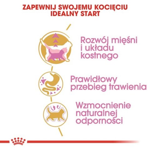 Royal Canin British Shorthair Kitten karma sucha dla kociąt, do 12 miesiąca, rasy brytyjski krótkowłosy 10kg Royal Canin British Shorthair Kitten karma sucha dla kociąt, do 12 miesiąca, rasy brytyjski krótkowłosy 10kg