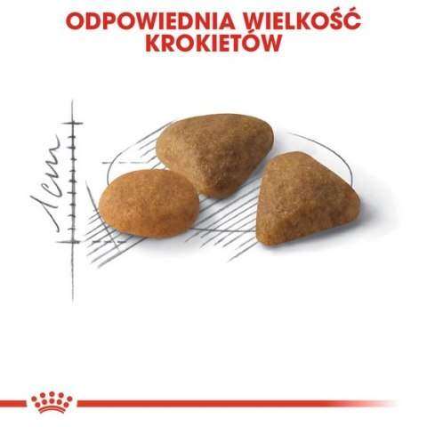Royal Canin Savour Exigent karma sucha dla kotów dorosłych, wybrednych, kierujących się teksturą krokieta 10kg Royal Canin Savour Exigent karma sucha dla kotów dorosłych, wybrednych, kierujących się teksturą krokieta 10kg