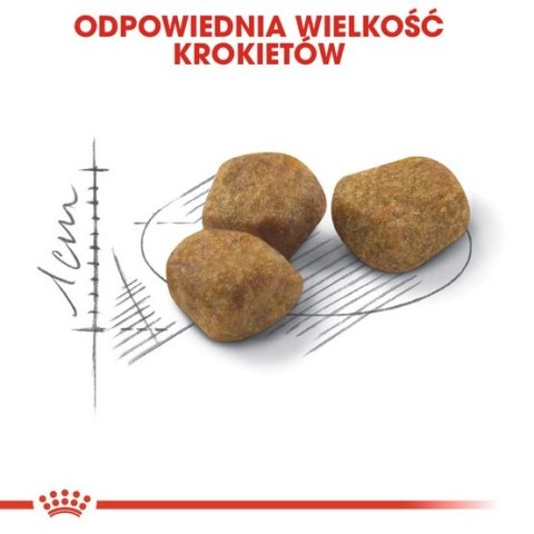 Royal Canin Fit karma sucha dla kotów dorosłych, wspierająca idealną kondycję 10kg Royal Canin Fit karma sucha dla kotów dorosłych, wspierająca idealną kondycję 10kg