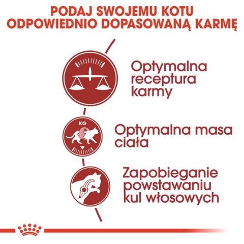 Royal Canin Fit karma sucha dla kotów dorosłych, wspierająca idealną kondycję 4kg Royal Canin Fit karma sucha dla kotów dorosłych, wspierająca idealną kondycję 4kg