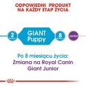 Royal Canin Giant Puppy karma sucha dla szczeniąt, od 2 do 8 miesiąca życia, ras olbrzymich 15kg