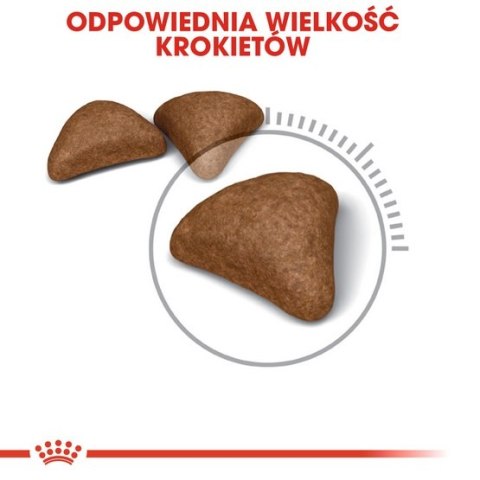Royal Canin Hairball Care karma sucha dla kotów dorosłych, eliminacja kul włosowych 400g Royal Canin Hairball Care karma sucha dla kotów dorosłych, eliminacja kul włosowych 400g