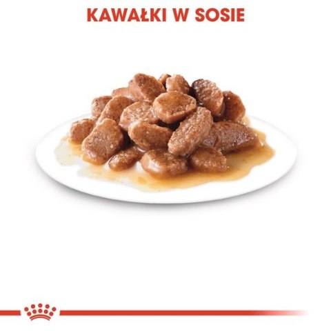 Royal Canin Hairball Care w sosie karma mokra w sosie dla kotów dorosłych, eliminacja kul włosowych saszetka 85g Royal Canin Hairball Care w sosie karma mokra w sosie dla kotów dorosłych, eliminacja kul włosowych saszetka 85g