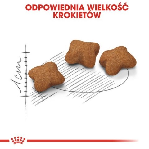 Royal Canin Kitten Sterilised karma sucha dla kociąt od 4 do 12 miesiąca życia, sterylizowanych 400g Royal Canin Kitten Sterilised karma sucha dla kociąt od 4 do 12 miesiąca życia, sterylizowanych 400g