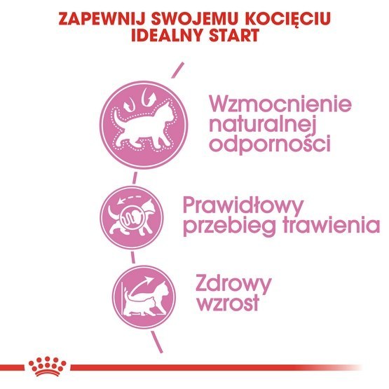 Royal Canin Kitten karma sucha dla kociąt od 4 do 12 miesiąca życia 10kg