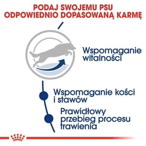 Royal Canin Maxi Adult 5+ karma sucha dla psów starszych, od 5 do 8 roku życia, ras dużych 15kg Royal Canin Maxi Adult 5+ karma sucha dla psów starszych, od 5 do 8 roku życia, ras dużych 15kg