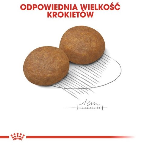 Royal Canin Maxi Adult 5+ karma sucha dla psów starszych, od 5 do 8 roku życia, ras dużych 15kg Royal Canin Maxi Adult 5+ karma sucha dla psów starszych, od 5 do 8 roku życia, ras dużych 15kg
