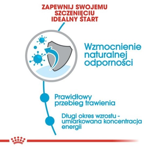 Royal Canin Maxi Puppy karma sucha dla szczeniąt, od 2 do 15 miesiąca życia, ras dużych 15kg Royal Canin Maxi Puppy karma sucha dla szczeniąt, od 2 do 15 miesiąca życia, ras dużych 15kg