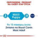 Royal Canin Maxi Puppy karma sucha dla szczeniąt, od 2 do 15 miesiąca życia, ras dużych 4kg
