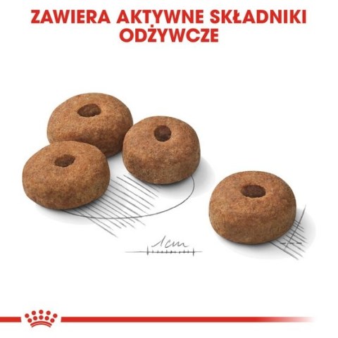 Royal Canin Maxi Sterilised karma sucha dla psów dorosłych, ras dużych, sterylizowanych 9kg Royal Canin Maxi Sterilised karma sucha dla psów dorosłych, ras dużych, sterylizowanych 9kg