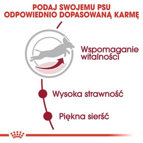 Royal Canin Medium Adult 7+ karma sucha dla psów starszych od 7 do 10 roku życia, ras średnich 15kg Royal Canin Medium Adult 7+ karma sucha dla psów starszych od 7 do 10 roku życia, ras średnich 15kg
