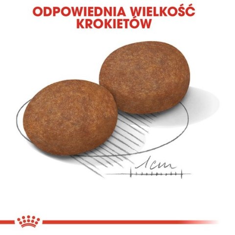 Royal Canin Medium Adult 7+ karma sucha dla psów starszych od 7 do 10 roku życia, ras średnich 15kg Royal Canin Medium Adult 7+ karma sucha dla psów starszych od 7 do 10 roku życia, ras średnich 15kg